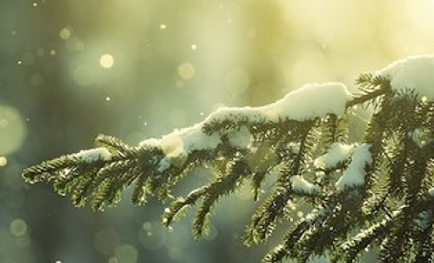 Navigating the Holidays Workshop