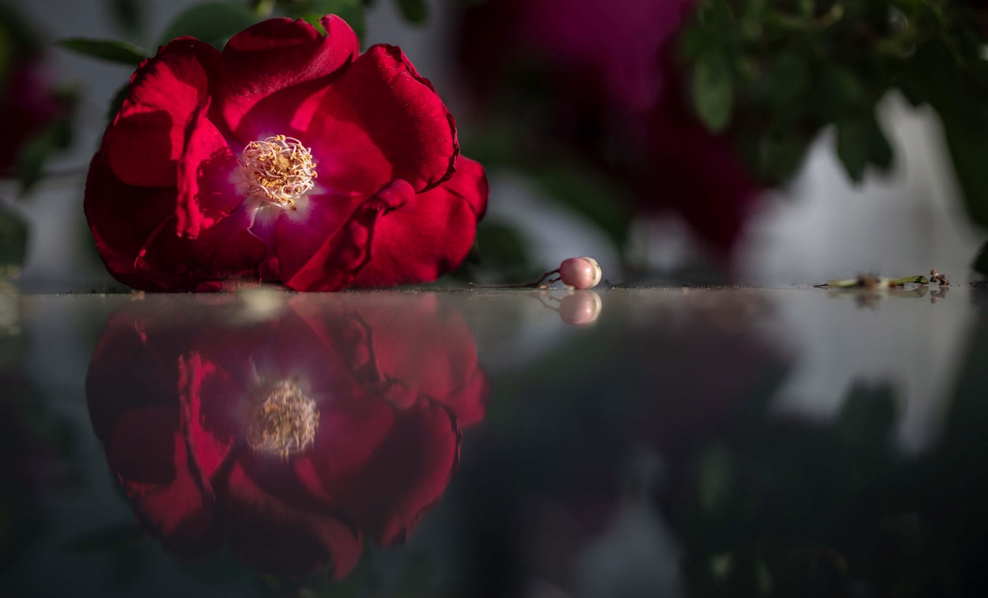 Grieve and Breathe Weekend Retreat 12/2-12/4 2022 Ojai, CA