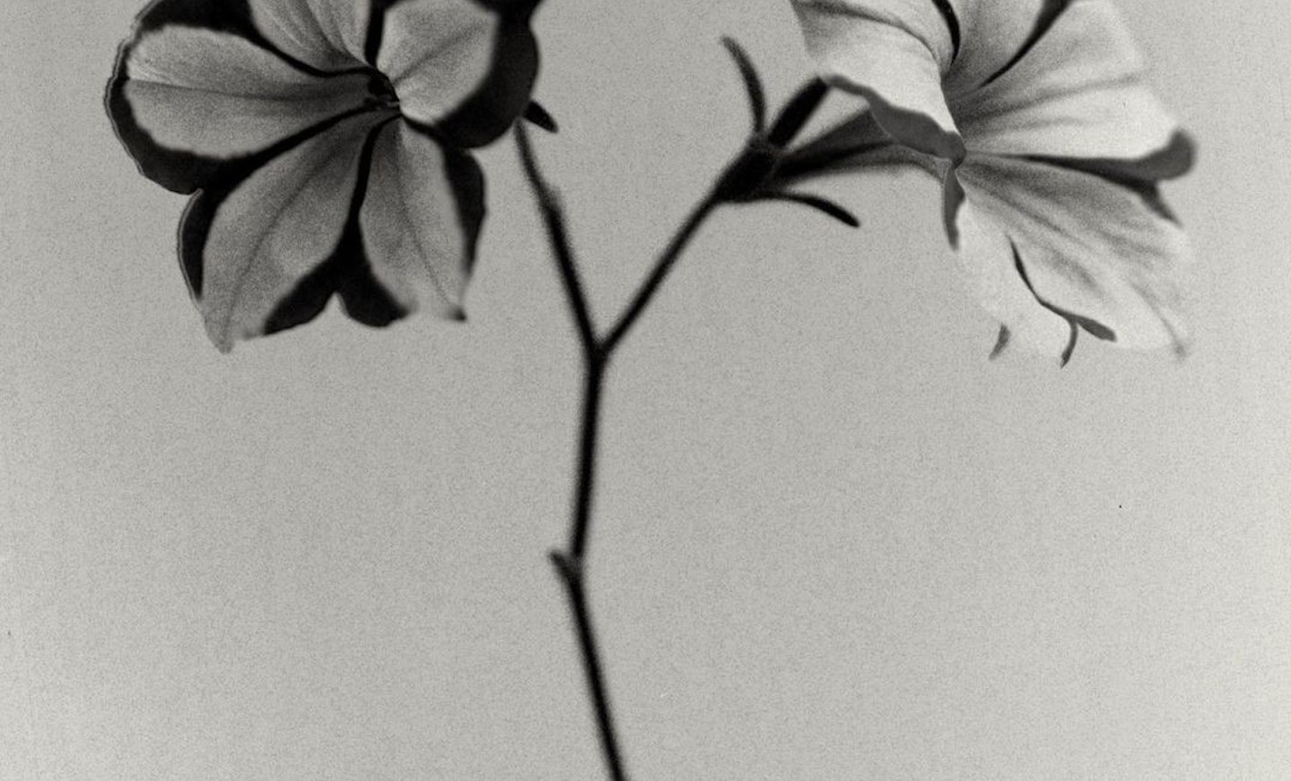 display description