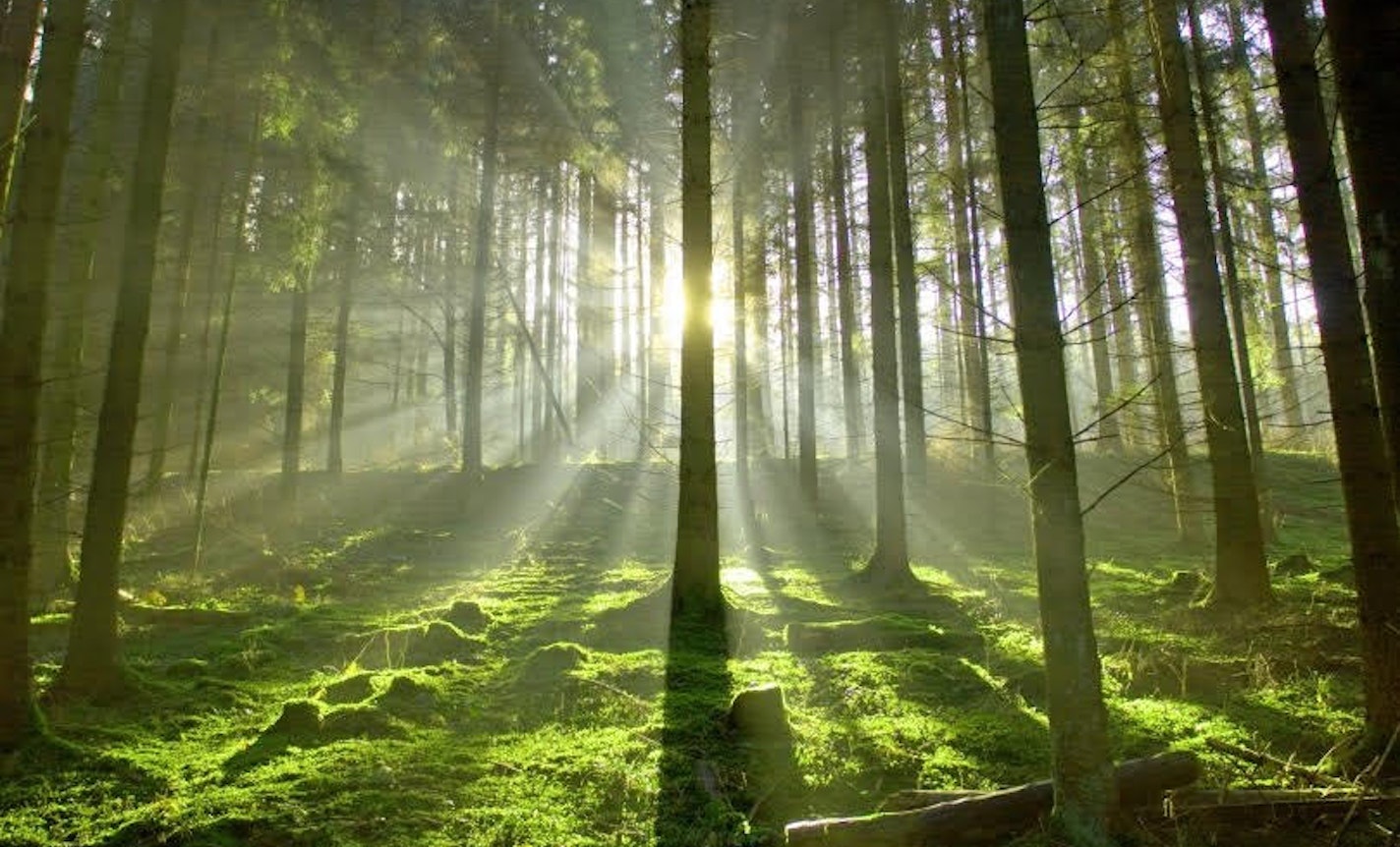Building a New Tomorrow:Exploring Grief & Building Community