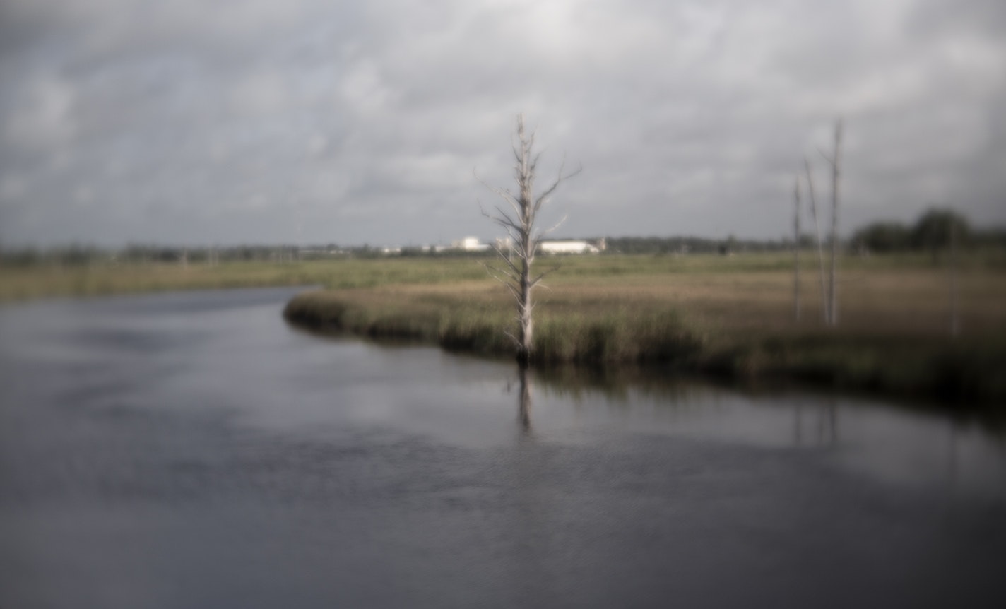 What Remains: Finding Beauty in a Broken World