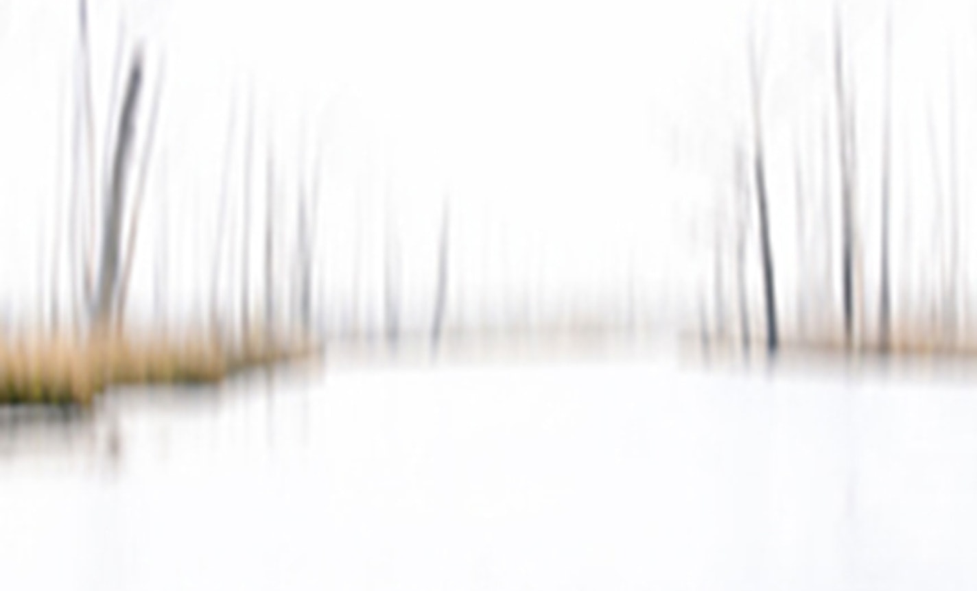Belonging with the Earth: Practice and Presence