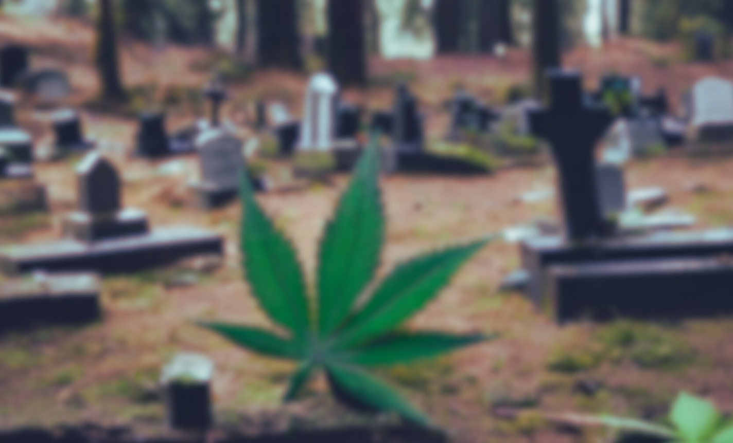 grieve & chill - a reflection space for grieving stoners